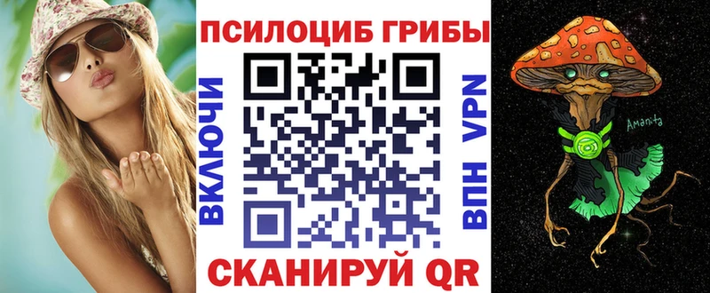 Псилоцибиновые грибы прущие грибы  Опочка 